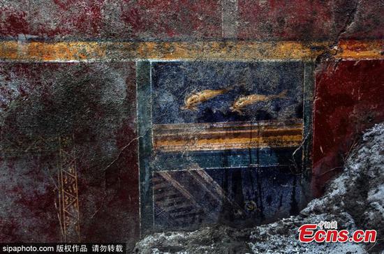 Dolphins painting found in Pompeii ruins