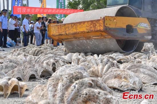 40 tons of aquatic wildlife products destroyed in Sanya